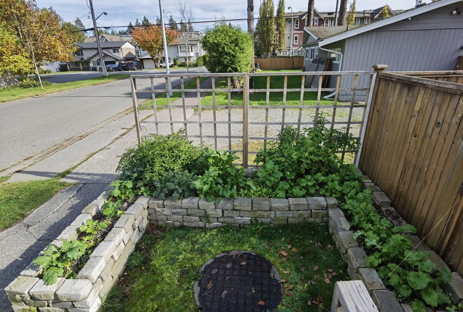 Year 2 of my DIY Upcycled Community Vegetable Garden